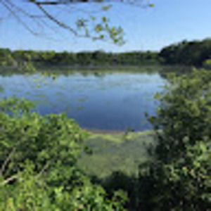 Meet your Posher, Lindsay shelley